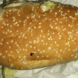 Chicken King