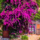 Le Clos Saint Pierre