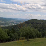 Rüsler