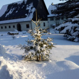 Haus Am Ahorn