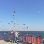 Lido