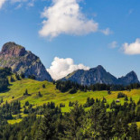 Hirschen