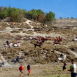 Miljar