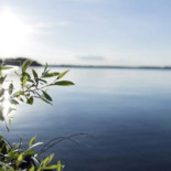 Kleines Meer