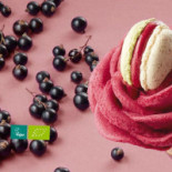 Amorino Gelato Aix Foch