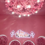 The Rosalia Bcn