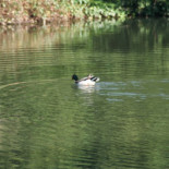 Wasserschloss Wittringen