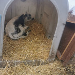 Ferme Auberge Buchwald