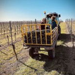 Weingut Meitzler Sohn Gbr