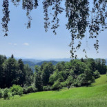 Wildberg