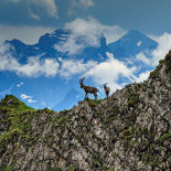 Schwand