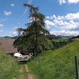 Dentenberg