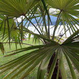 Strandbad Hirschen