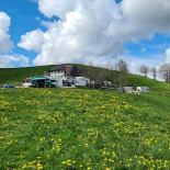 Ahorn-alp