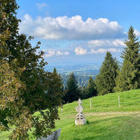 Ahorn-alp