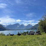 Burgruine Strahlegg