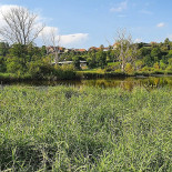 Strandbad Moossee