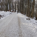 Hochwacht Lägern