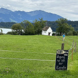 Wirtschaft Zum Hof