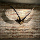Steinbock
