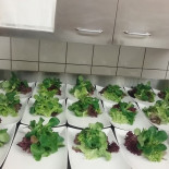 Pizzeria Bellevue