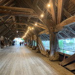 Aarebistro Aare Chalet