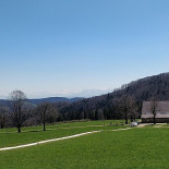 Waldweid