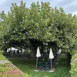 Café De Grandfey