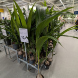 Ikea Lyssach