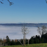 Homberg