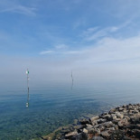 Bodensee-arena Ag