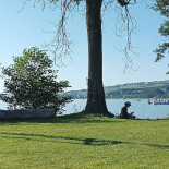 Seeland, Sempach