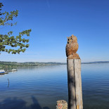 Seeland, Sempach
