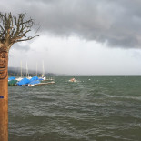 Seeland, Sempach