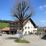 Traube