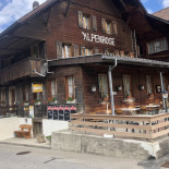 Alpenrose