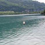 Flyhof Am Walensee