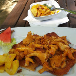 Haus Am Walde