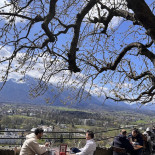 Panoramarestaurant Zur Festung Hohensalzburg