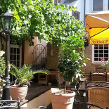 Habanita Café Bistro