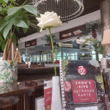 Zhou's Five Gmbh