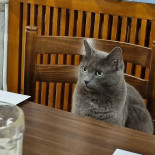 Gasthof Ochsen