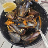 Zamarrilla 33