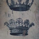 Vivo Vino