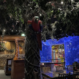 Rainforest Café