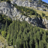 Wirtschaft Lipplisbüöl