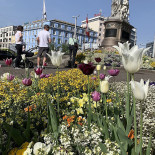 Strassburger Denkmal