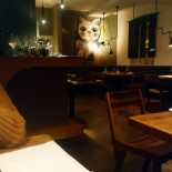 The Izakaya