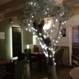 Taberna Lobo