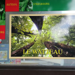Le Watteau